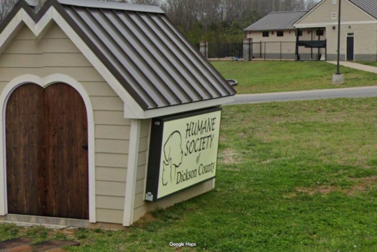 Cat Crisis in Dickson County as 130 Felines Pulled From Property