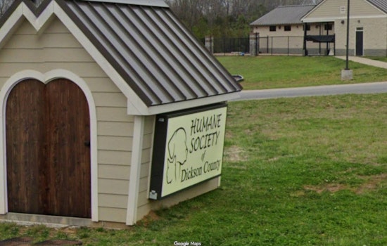 Cat Crisis in Dickson County as 130 Felines Pulled From Property