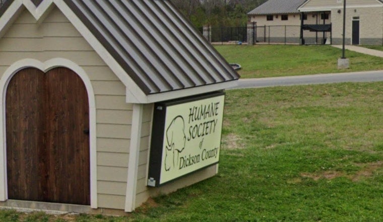 Cat Crisis in Dickson County as 130 Felines Pulled From Property