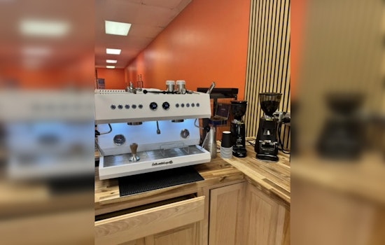 Cats Coffee And Second Chances Tribal Blend Pounces On Columbus Strip Mall