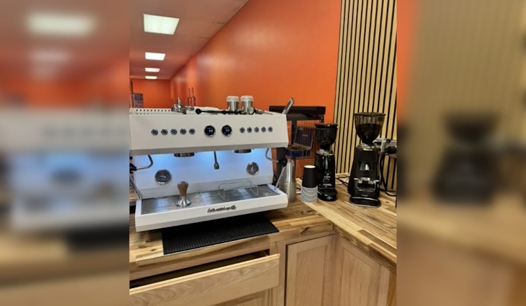 Cats Coffee And Second Chances Tribal Blend Pounces On Columbus Strip Mall