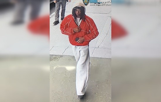 Central Park South Shock As Senior Couple Slammed In Botched Sidewalk Mugging