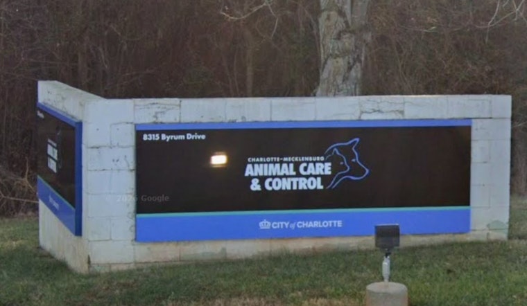 Charlotte Shelter Packed To The Rafters, Pleads With Locals To Step Up