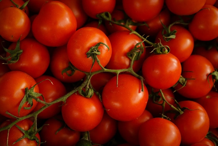Charlotte Tomato Prices Spike Amid Tariffs and Fuel Shock