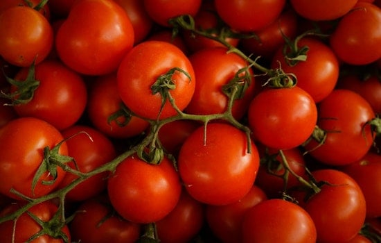 Charlotte Tomato Prices Spike Amid Tariffs and Fuel Shock