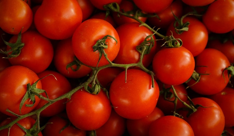 Charlotte Tomato Prices Spike Amid Tariffs and Fuel Shock
