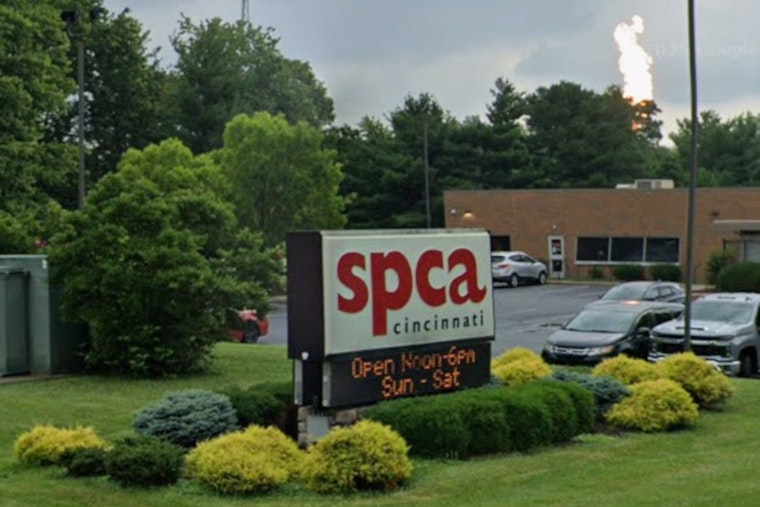 Cincy Pets Get Big Break: SPCA Drops $3.5 Million On New Clinic And OTR Adoption Hub