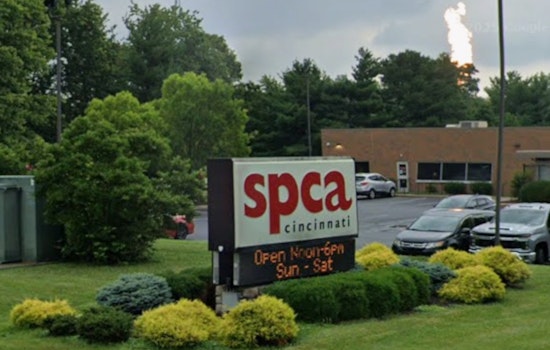 Cincy Pets Get Big Break: SPCA Drops $3.5 Million On New Clinic And OTR Adoption Hub