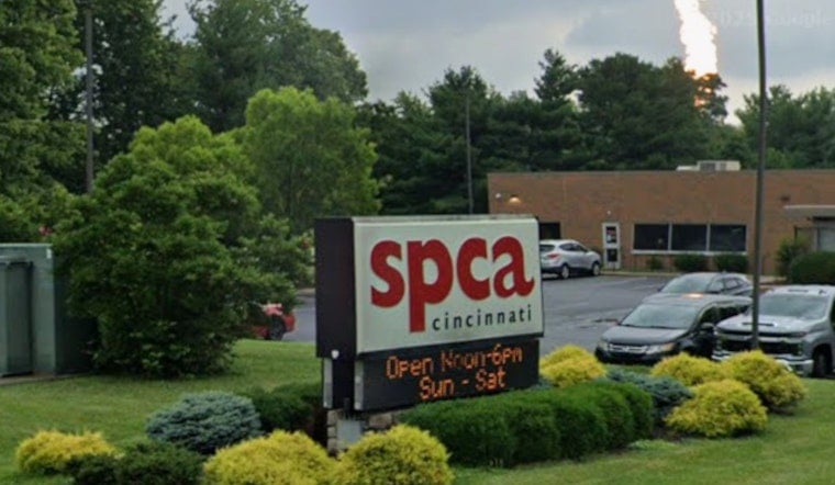 Cincy Pets Get Big Break: SPCA Drops $3.5 Million On New Clinic And OTR Adoption Hub
