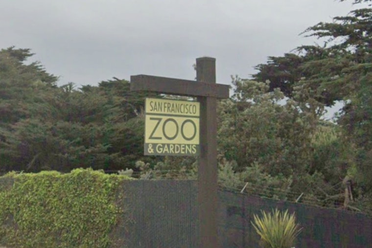 City Floats $6.5 Million Lifeline to Sinking SF Zoo, With Strings Attached