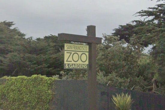 City Floats $6.5 Million Lifeline to Sinking SF Zoo, With Strings Attached