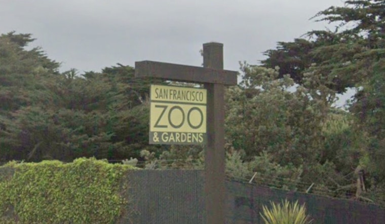 City Floats $6.5 Million Lifeline to Sinking SF Zoo, With Strings Attached