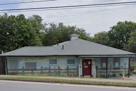 Clayton County Shelter Bursting At Seams As Street Paws Races In