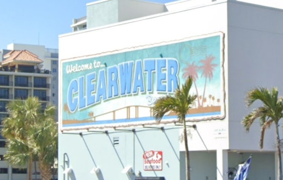 Clearwater Beach Bird-Feeding Spat Ends With Sarasota Man In Handcuffs