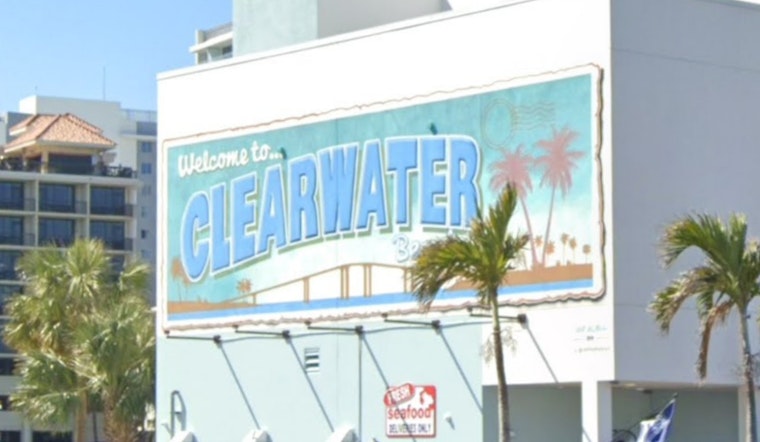 Clearwater Beach Bird-Feeding Spat Ends With Sarasota Man In Handcuffs