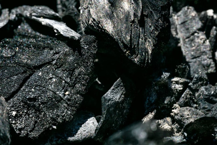 Coal Showdown In West Oakland As Activists Rail Against Port Dust
