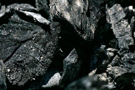 Coal Showdown In West Oakland As Activists Rail Against Port Dust