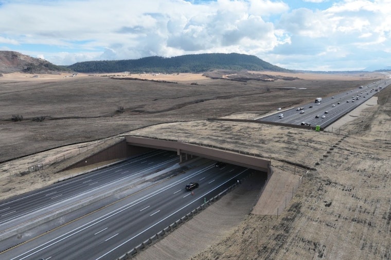 Colorado's Mega Wildlife Bridge Lets Elk March Over I-25 Near Larkspur