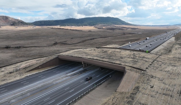 Colorado's Mega Wildlife Bridge Lets Elk March Over I-25 Near Larkspur