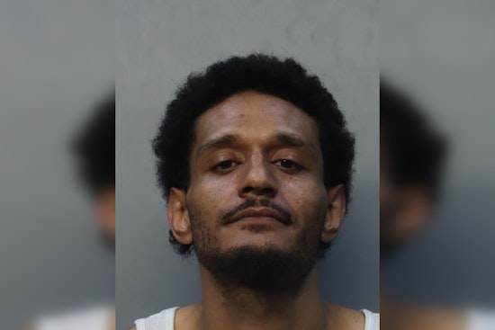 Cops Bag Alleged Honda Airbag Bandit After Biscayne Gardens Chase