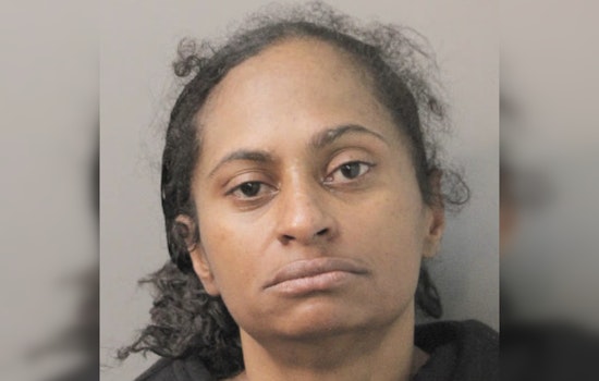 Cops Collar Brooklyn Woman in Alleged $50K Nassau Shoplifting Spree