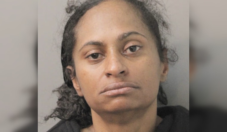Cops Collar Brooklyn Woman in Alleged $50K Nassau Shoplifting Spree