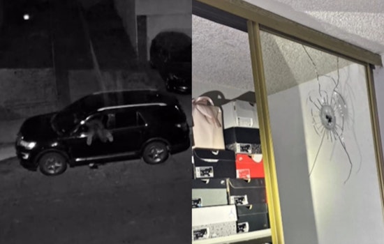 Cops Nab Susie Way Shooting Suspect After Overnight Manhunt From South City To East Bay