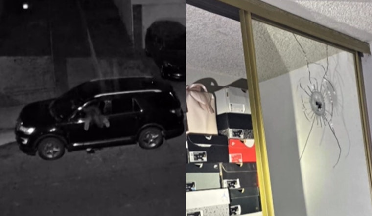 Cops Nab Susie Way Shooting Suspect After Overnight Manhunt From South City To East Bay