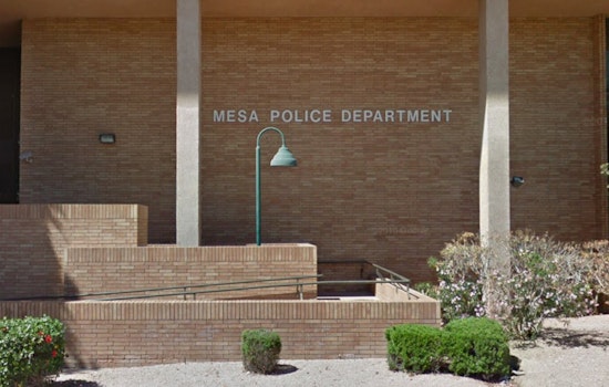 Cops Say Mesa Sergeant Blew Cover on SWAT Drug Bust for Neighbor
