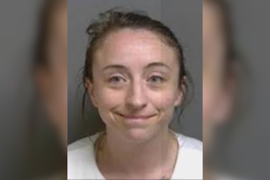 Cops Say Shelby Township Woman Left Starving Dog Behind, Now She's Charged