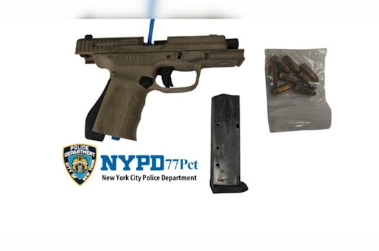 Crown Heights 311 Call Erupts Into Brawl as Cops Snag Illegal 9mm