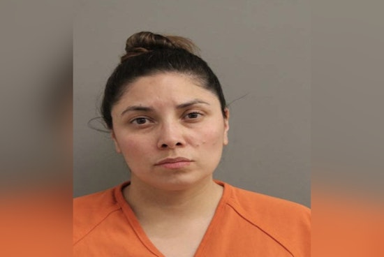 Cypress Cul-De-Sac Chaos After Pregnant Neighbor Punched, Deputies Say