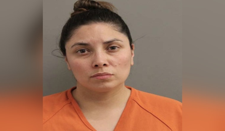 Cypress Cul-De-Sac Chaos After Pregnant Neighbor Punched, Deputies Say