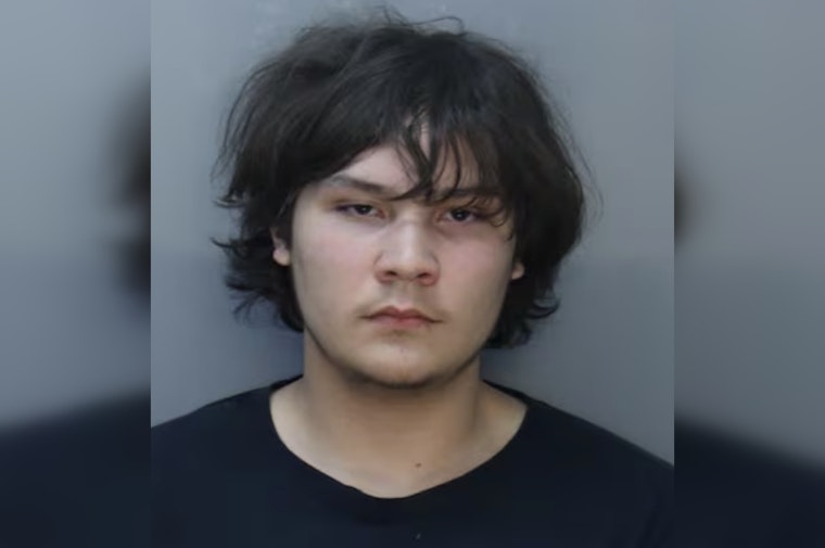 Dashcam Drive-By Rocks Kendall: 17-Year-Old Charged As Adult