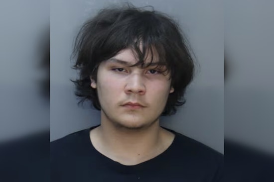 Dashcam Drive-By Rocks Kendall: 17-Year-Old Charged As Adult