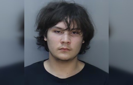 Dashcam Drive-By Rocks Kendall: 17-Year-Old Charged As Adult