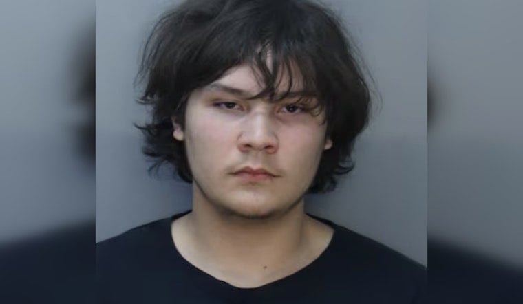 Dashcam Drive-By Rocks Kendall: 17-Year-Old Charged As Adult