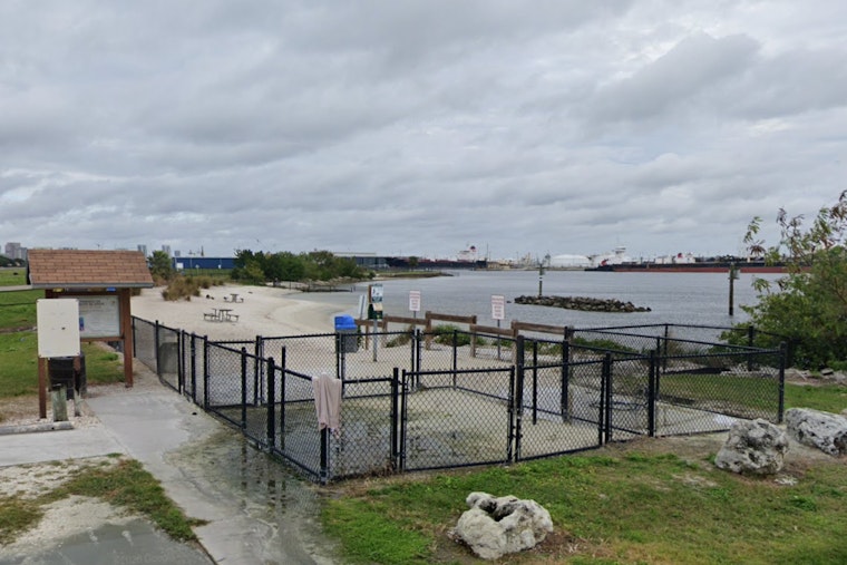 Davis Island Dog Beach Horror as Tiny Pomeranian Mauled to Death