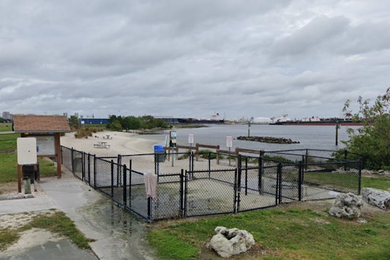 Davis Island Dog Beach Horror as Tiny Pomeranian Mauled to Death