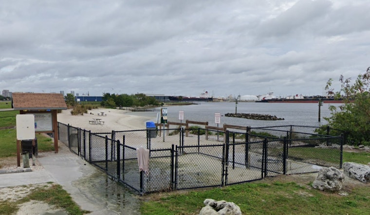 Davis Island Dog Beach Horror as Tiny Pomeranian Mauled to Death
