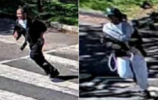 Daylight Carjacking Try Shakes Northeast D.C. Street