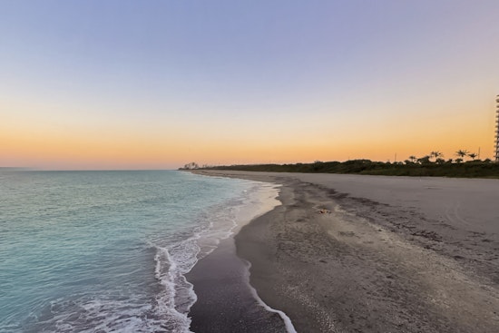 Daytime Drama on Juno Beach as Leatherback ‘Worm’ Crawls In to Nest