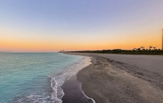 Daytime Drama on Juno Beach as Leatherback ‘Worm’ Crawls In to Nest