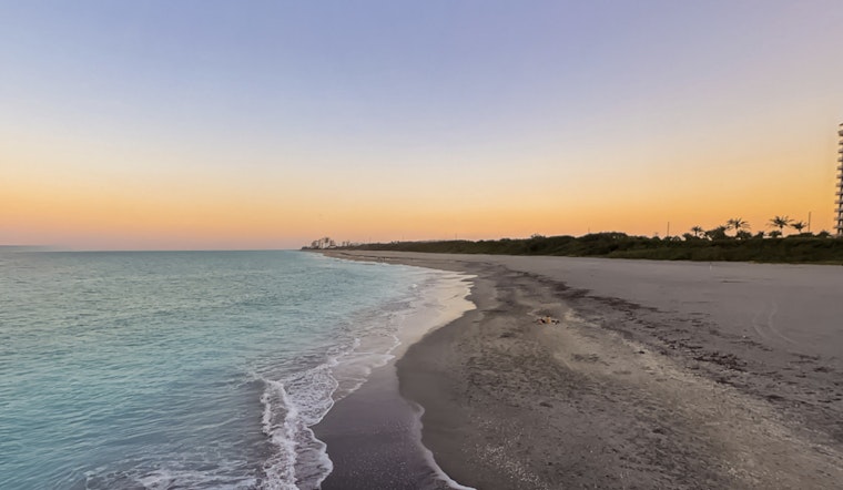 Daytime Drama on Juno Beach as Leatherback ‘Worm’ Crawls In to Nest