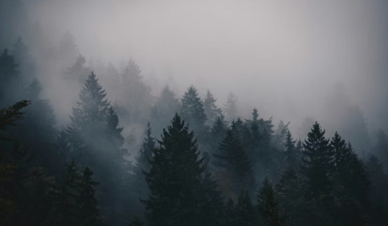 D.C. Chokes on Morning Fog as Summerlike Sizzle Looms This Weekend