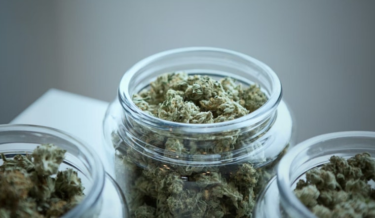 D.C. Cops Padlock Trio of Pot Shops in Weeklong Weed Crackdown