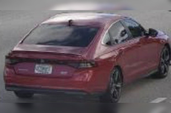 Deadly Sheridan Street Hit-and-Run: Hollywood Cops Hunt Battered Red Honda