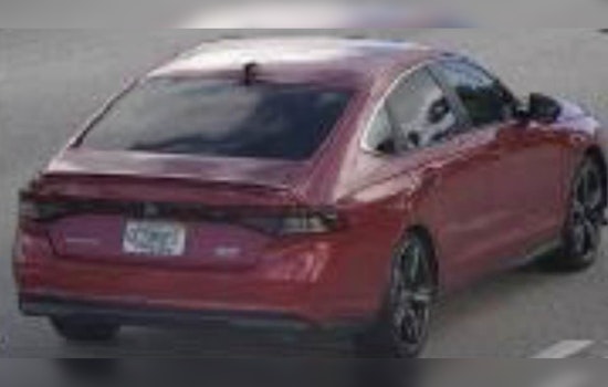 Deadly Sheridan Street Hit-and-Run: Hollywood Cops Hunt Battered Red Honda
