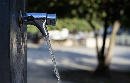 DeKalb Neighbors Revolt Over $5.1 Million Water Tab, Call HOA A Fake