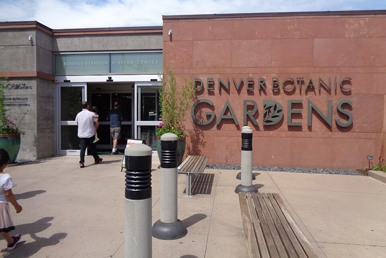 Denver’s Famous Tulip Show Sidelined As Fungus Torches The Beds
